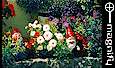A garden at the Claddagh, click to MAGNIFY!