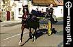 Horse and Cart on Salthill Road, click to MAGNIFY!