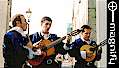 Portuguese Bards, click to MAGNIFY!